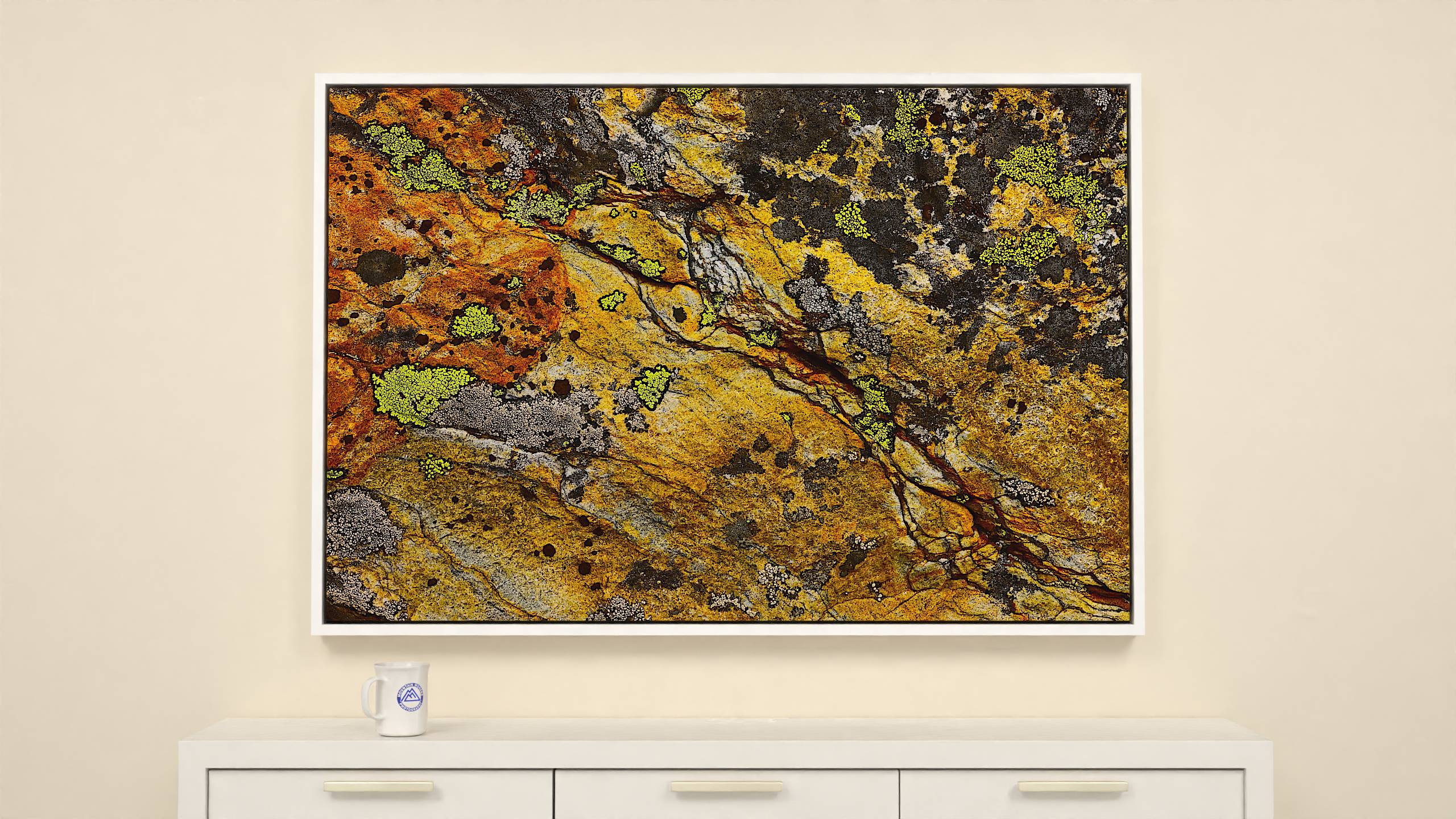 57x38 inch Wrapped canvas print with white floater frame. Colorful alpine rock canvas print: textured surface with lichens in deep black, yellow & white.