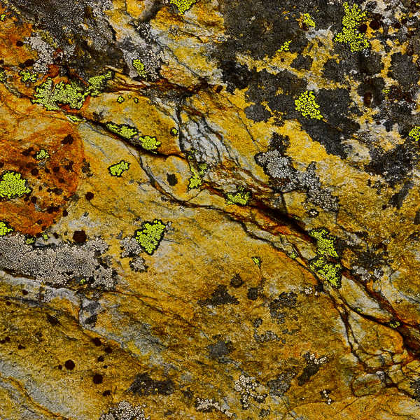 Rock Abstract