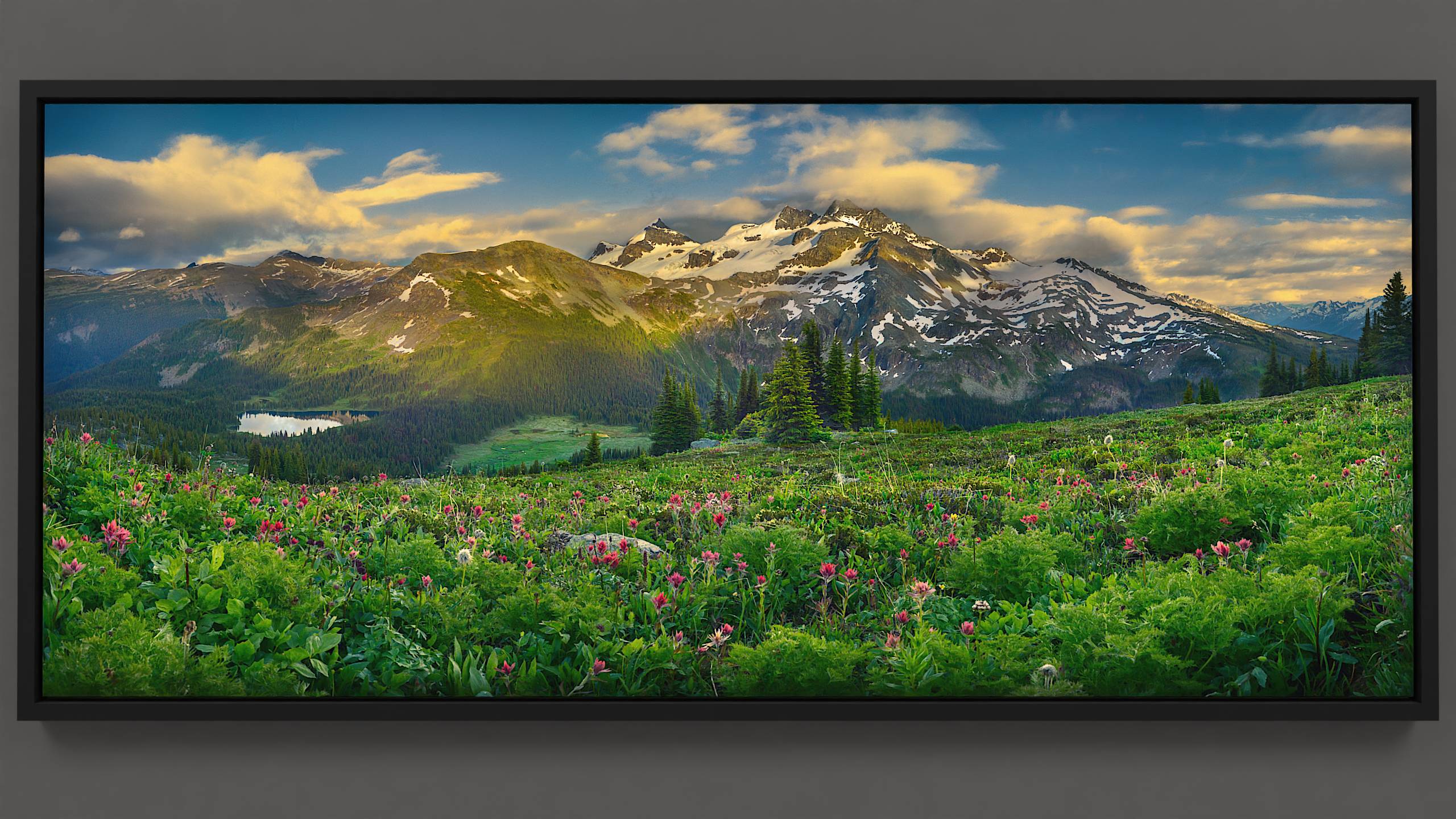 In the alpine, a green hillside flourishes with red paintbrush wildflowers and anemone, leading to a lake mirroring the sky on the mountain pass. The distant Spilliamsheen glacier basks in the evening light, under a sky adorned with golden clouds, reflecting the sunlight.