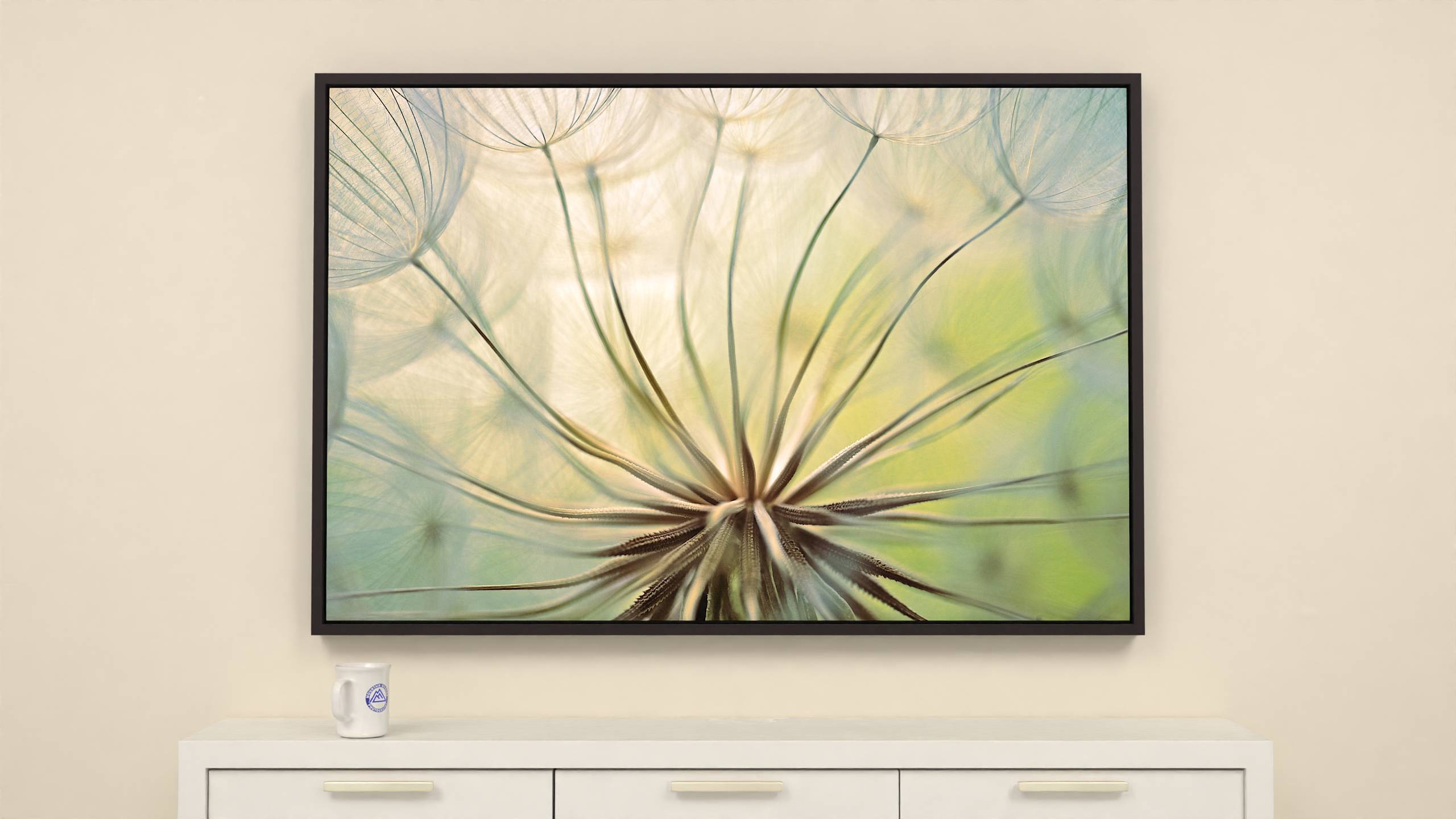 57x38 inch Wrapped canvas print with espresso floater frame. Golden lit Yellow Salsify seeds awaiting adventure canvas