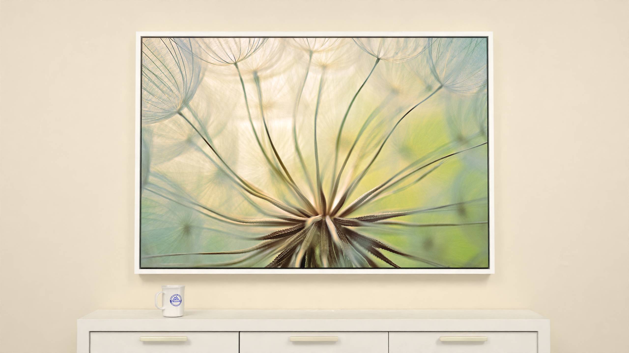 57x38 inch Wrapped canvas print with white floater frame. Golden lit Yellow Salsify seeds awaiting adventure canvas