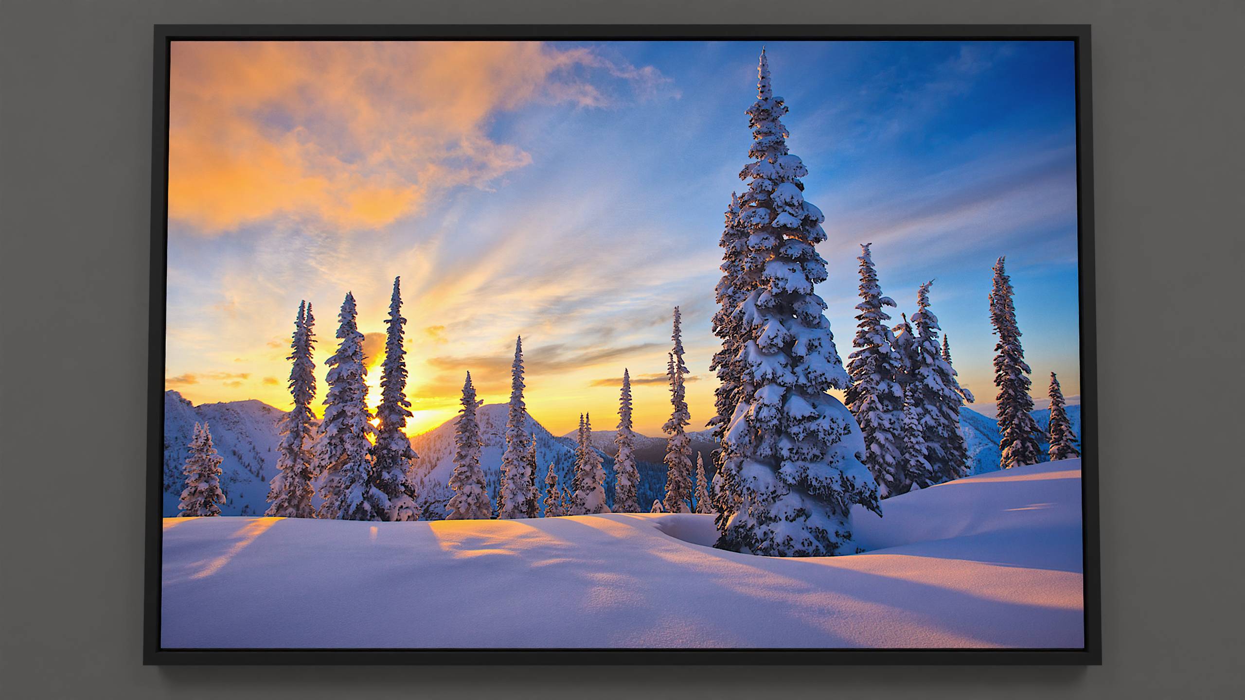 Tours End  - Captivating winter canvas: alpine snow, majestic firs, sunlit blue sky