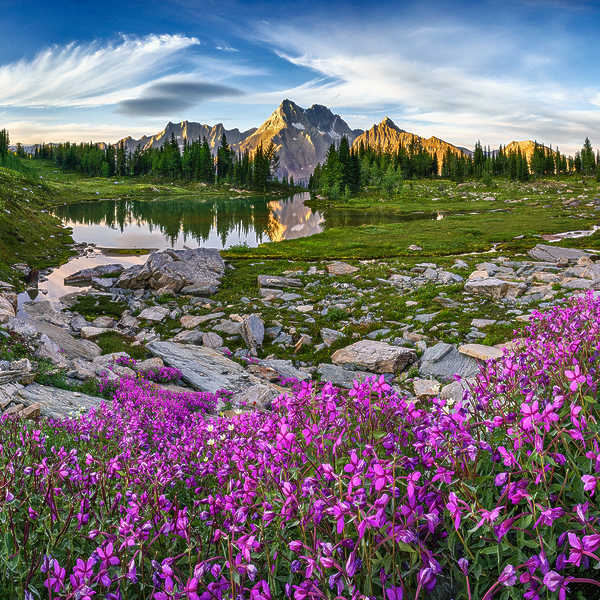 The Tarn's Tranquil Reflection