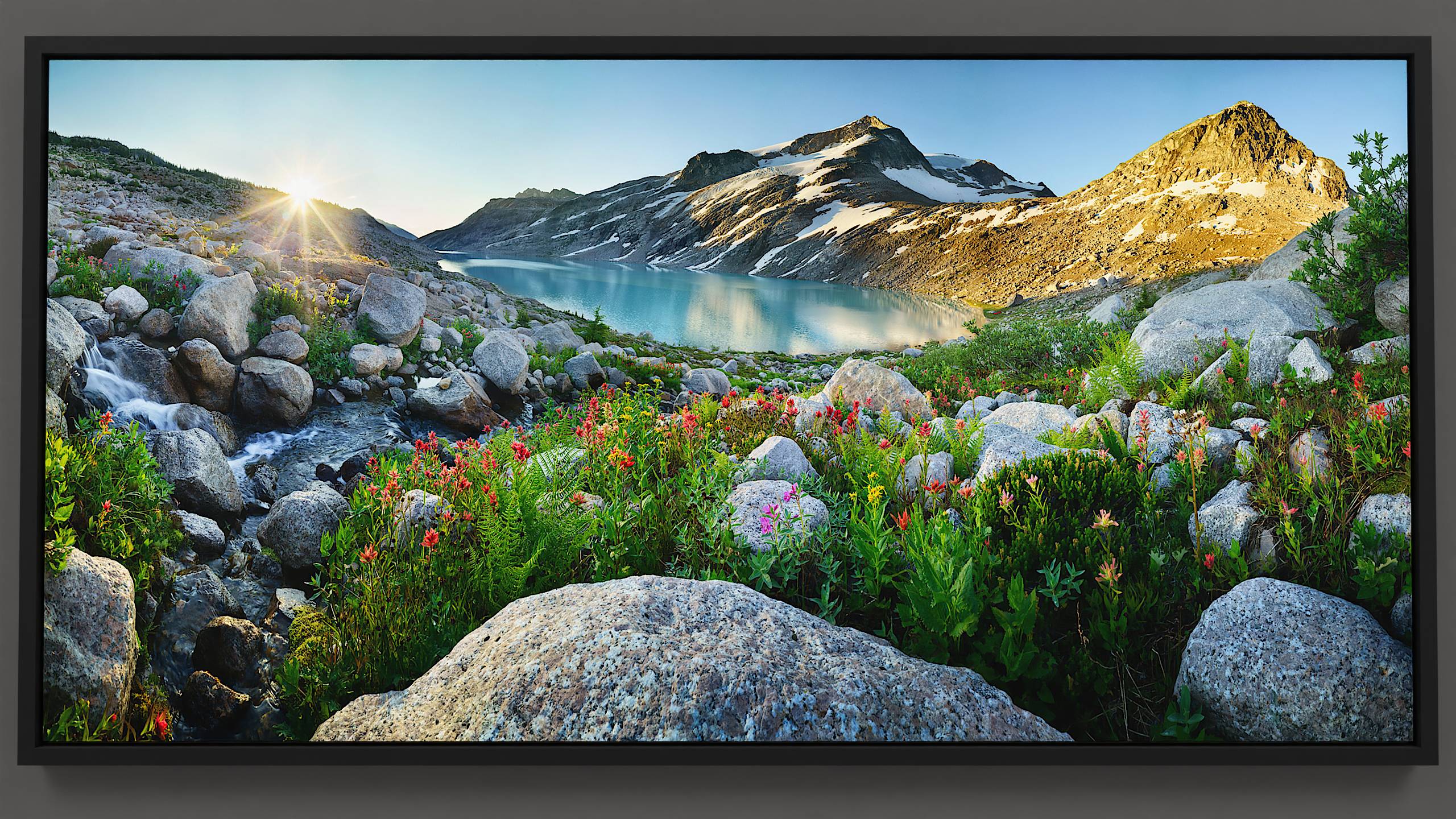 Overlooking Thunderwater Lake during a summer sunrise, a scene unfolds of a smooth boulder nestled among ferns and colorful wildflowers. A stream descends into the turquoise lake with a white glacier in the backdrop, aglow with the morning sun.