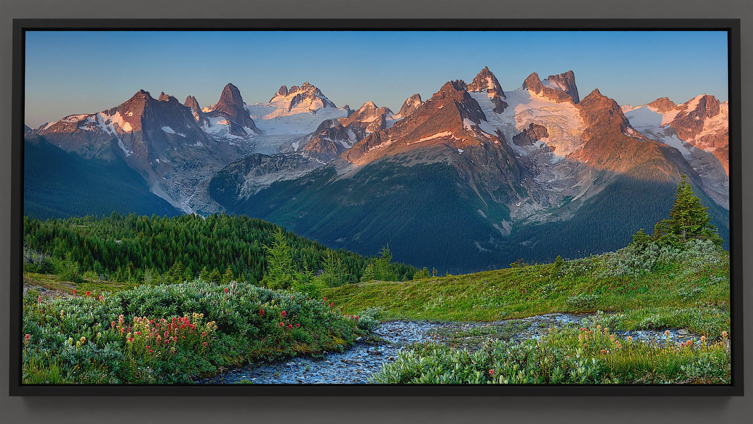A tranquil sunrise brings the Bugaboo mountain range to life, revealing a lush green meadow, brimming with multi-hued wildflowers. A lively stream cuts through, flowing past willows and descending into a valley. Fir and alpine larch trees populate the slope. The Vowel peaks, with glaciers adorning their rugged heights, glow in the morning light. In the distance, the majestic Bugaboo Spire and Howser Tower rise from a gleaming glacier, partially illuminated by the sun, under a clear blue sky.