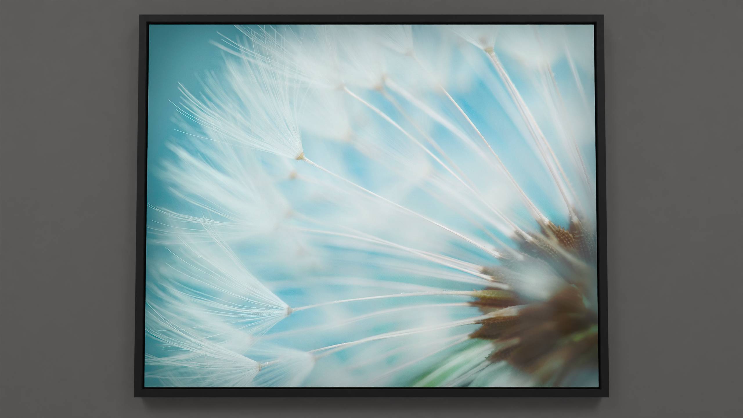 Waiting on the Wind - wildflower - Close-up dandelion print, revealing nature's hidden wonders and serene beauty.