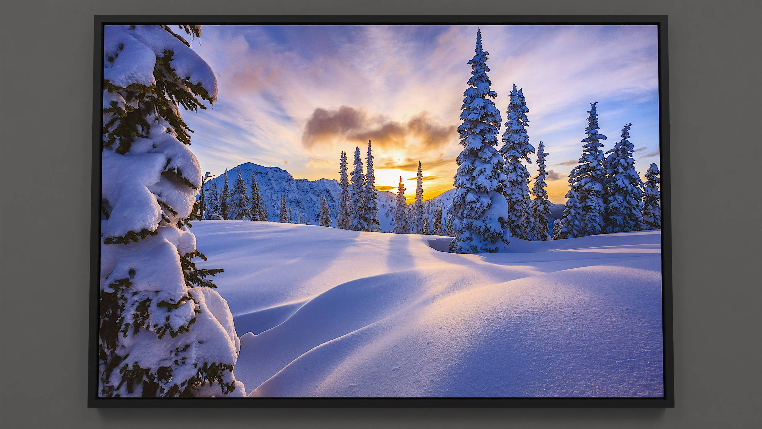 Where the Wind Has Walked - Peaceful winter wonderland canvas print: tall fir trees, vibrant blue sky, and billowing clouds.