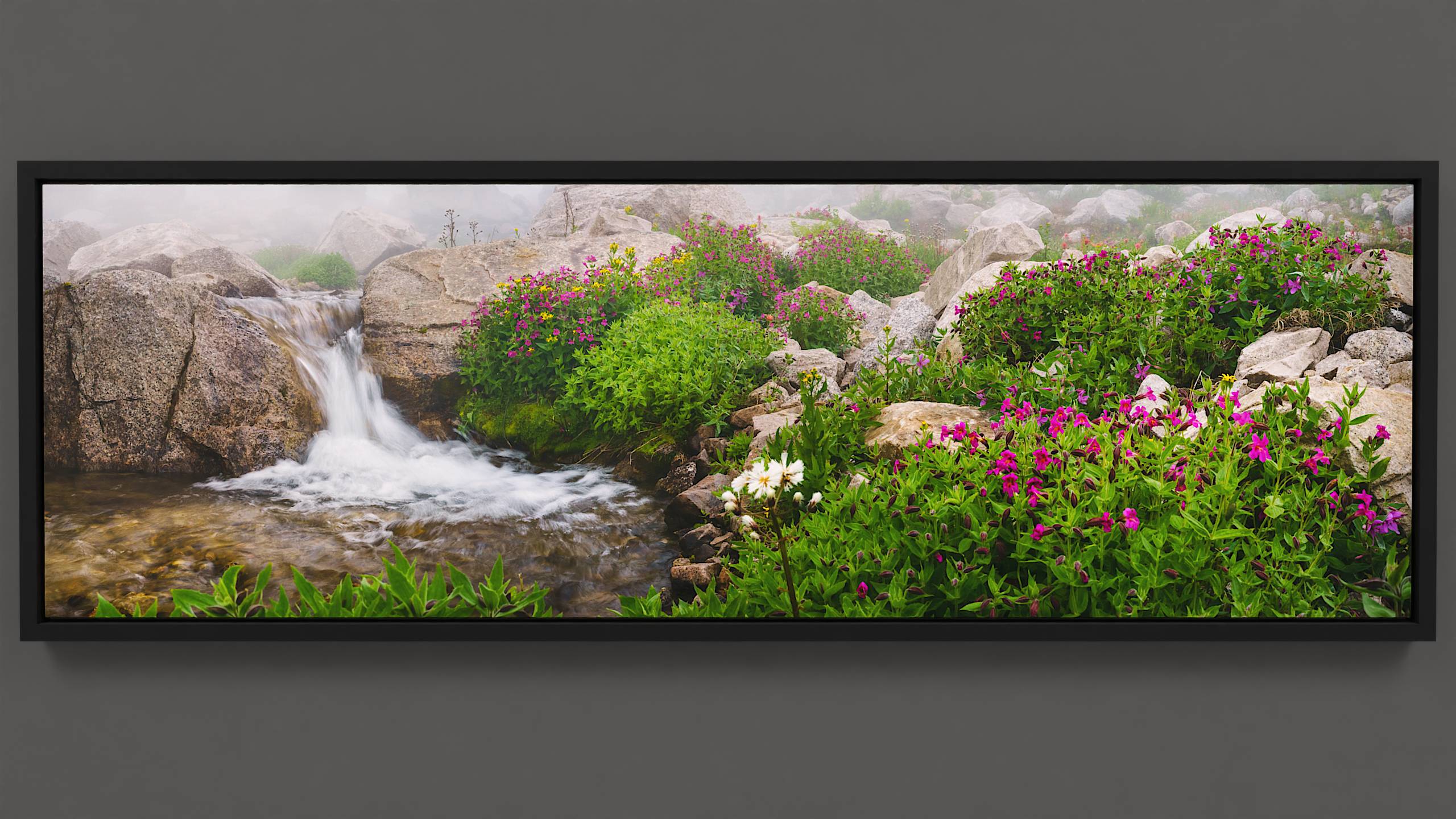 An alpine stream with a small waterfall unveils itself from early morning fog, coursing between large boulders. A surrounding spectacle of magenta, yellow, and white wildflowers completes the tranquil scene, where the soft fall of water is the only sound to be heard.   